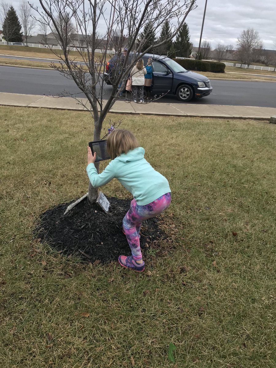 MrsK_STEAMLab's tweet photo. Choosing our trees for #ProjectBudBurst 🌳
Nature Club Ss chose a tree and took photos📸. They then turned their photos into watercolor artworks🖌🎨 
! #natureclub @EES_Mustangs https://t.co/yOdQeRGAuu