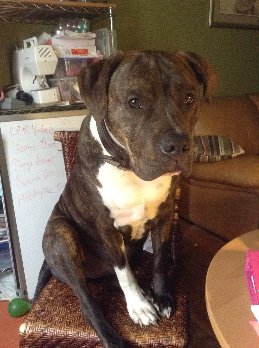 ScooterPhoenix's tweet image. Telling me my code sucks! #peercoding