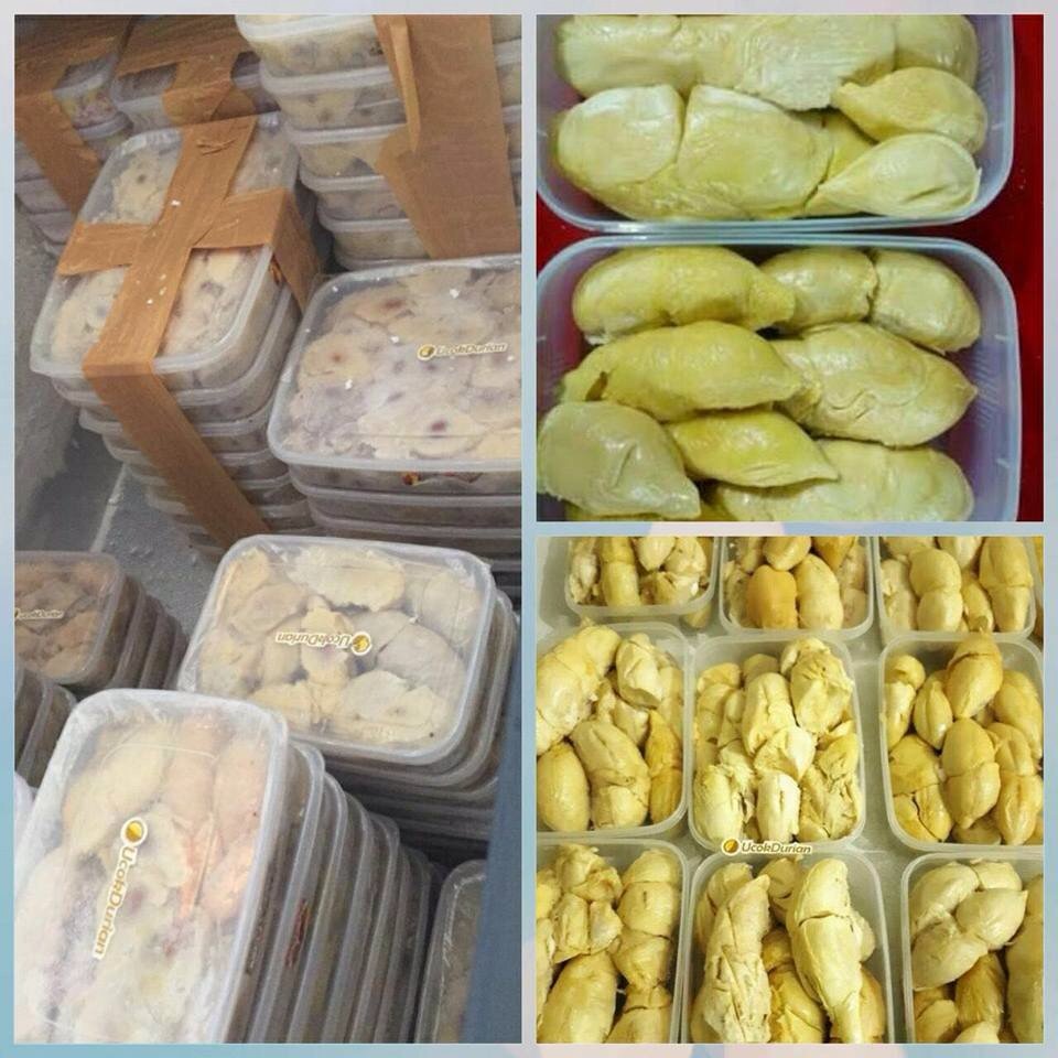 mayyatika's tweet photo. Ucok durian asli medan no tipu tipuu idr 100rb/box yuuk cus d order..hub wa 081293879444 🙏 https://t.co/NAdTcHJ3YK