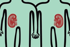 My kidneys are being reunited in 9 days! leavingitbetterthanifoundit.com/2018/01/09/rec… #kidneydonor #altruism #kidneytransplant
