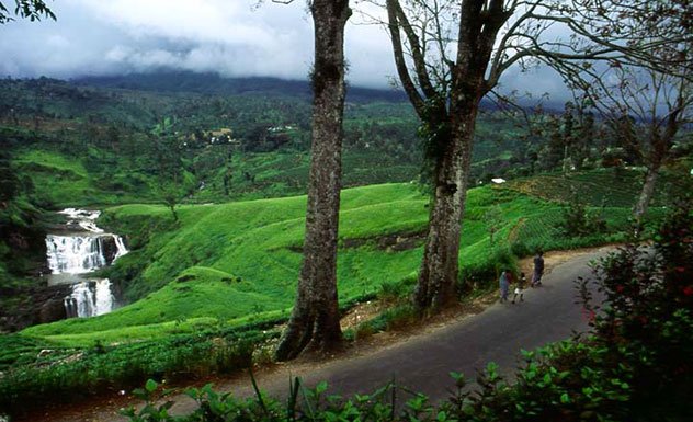 classytours's tweet image. Bandarawela has a cooler climate throughout the year. Linked to a royal and colonial past blended with a lush forestation has made this town a base for eco-tourism.#lankaclassytours #wanderlust #hillcountry #bandarawela