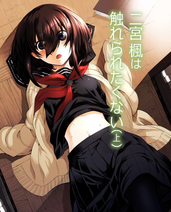 『二宮楓は触れられたくない(上)』 