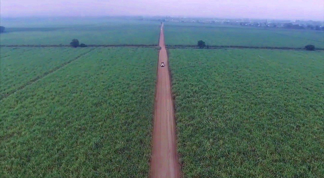 Mario_Galeas's tweet photo. Sula Valley, #Honduras 

📸/ #drone https://t.co/9tANrZ1SPZ