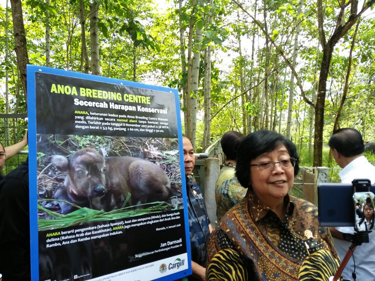 kemenhut_ri's tweet photo. Sobat hijau, hari ini Menteri LHK @SitiNurbayaLHK bersama Dewan Pertimbangan Presiden (Watimpres) ke Anoa Breeding Centre BP2LHK, Manado, utk penandatanganan MOU dan pemberian nama anak anoa. https://t.co/OzUa2W30Cx