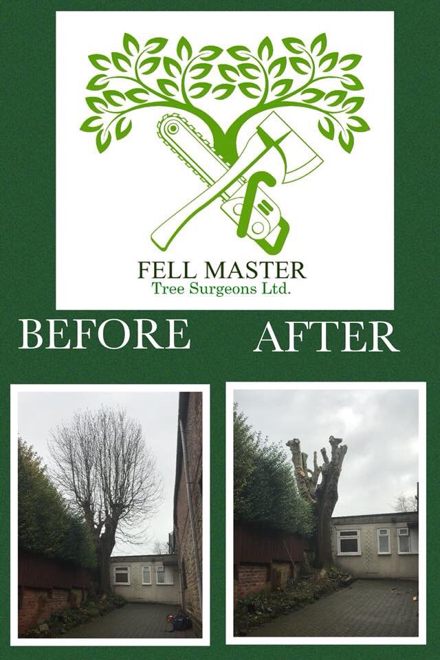 fellmasterDE5's tweet photo. Yesterday’s pallarding job.. call Alex for a quote 07491981531 https://t.co/qUSVaWjiVU