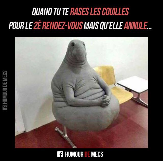 Scarica Gratis Images Humour De Mecs On Twitter Quand Tu Te Rases le plus cool par