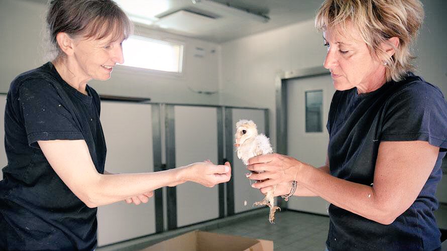 Département de la Charente-Maritime tweet media