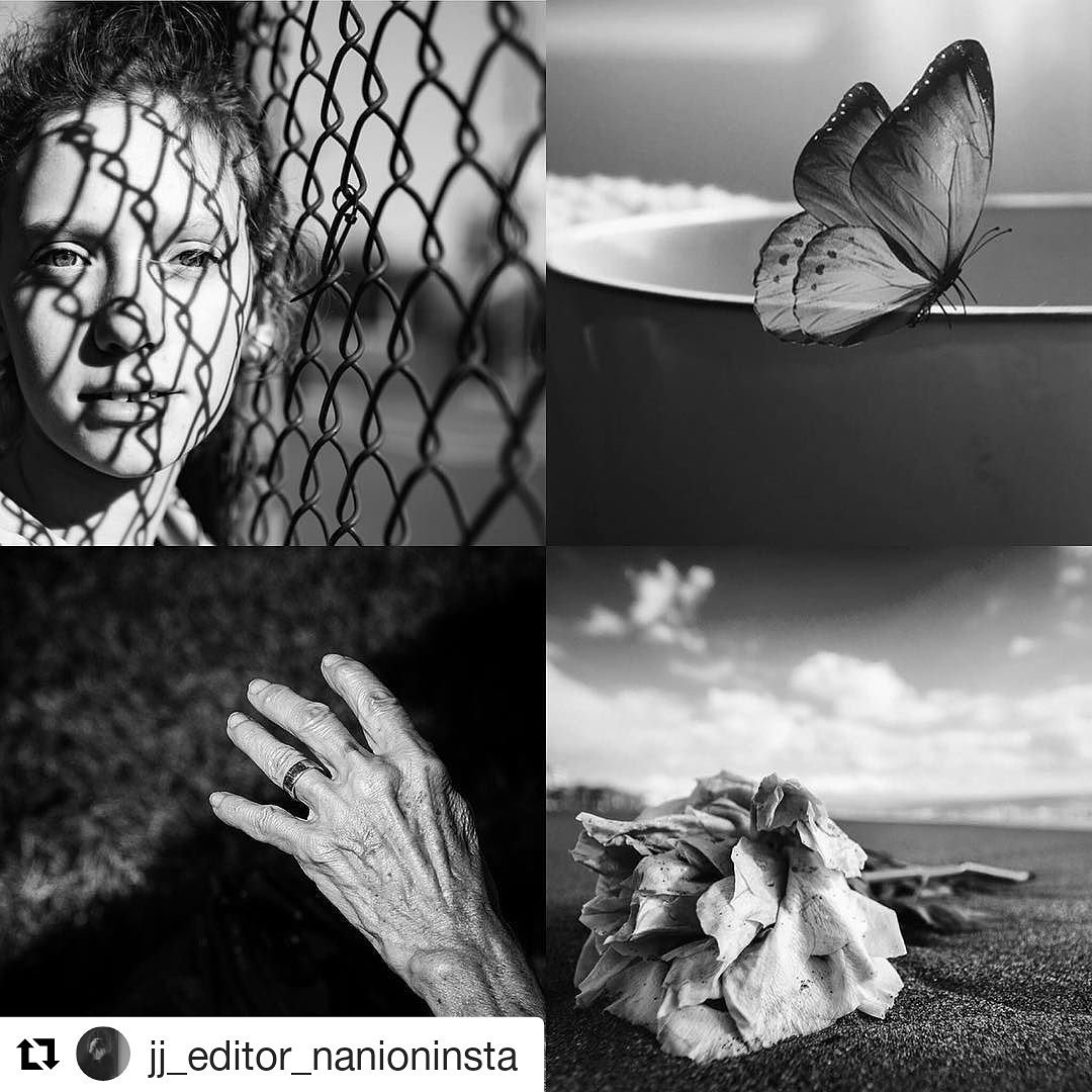 Honoured to be part of this awesome #BlackandWhite grid with my Rose. Thanks <a href="/tagitjj/">JJ Community</a> and jj_editor_nanionista 🤗🤗🌷