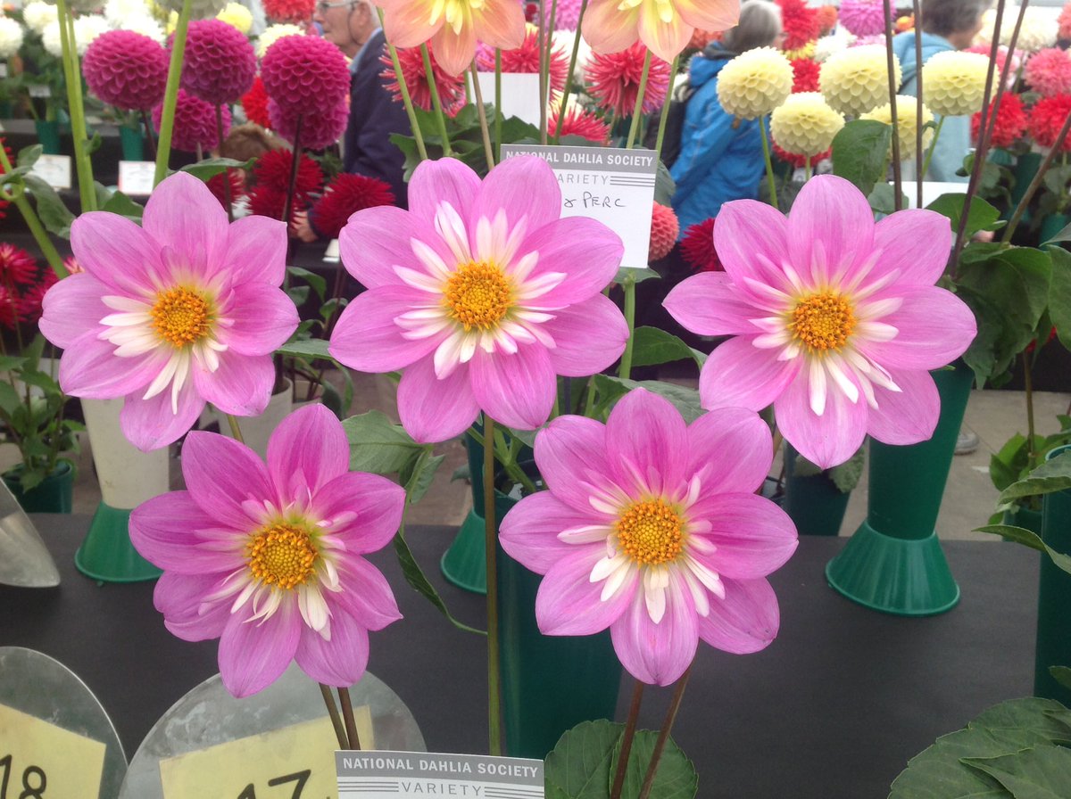 Jack Gott tweet media