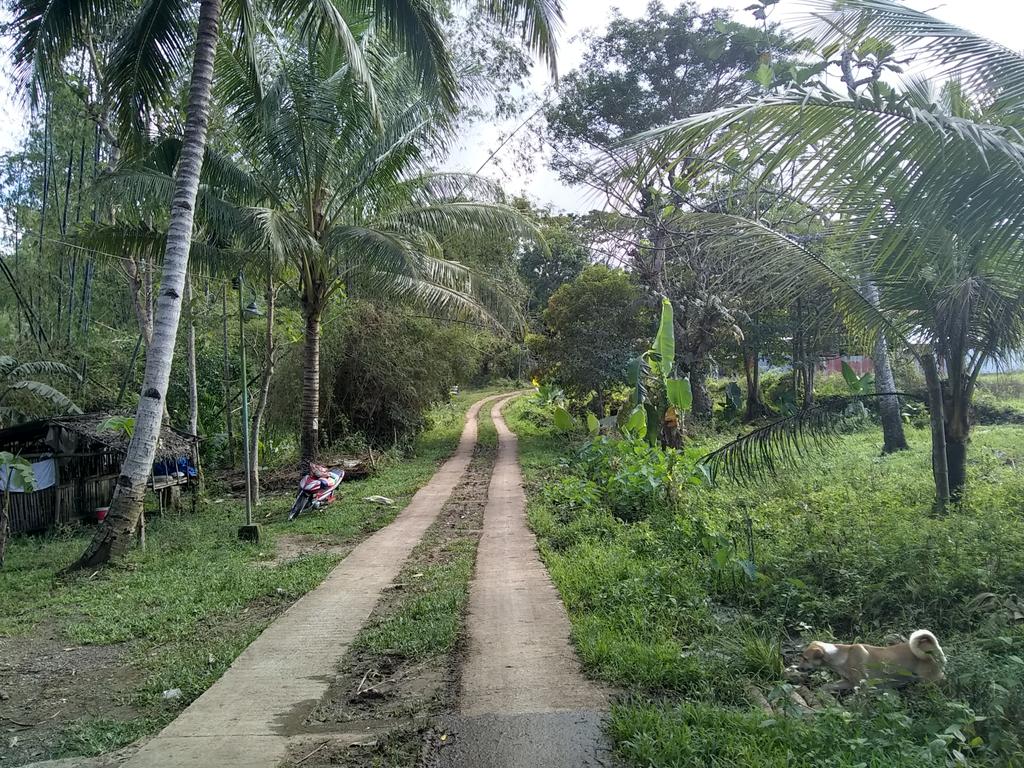 tmelorenzo's tweet photo. today: took a habal-habal (motorcycle taxi is the best way I can describe it) to interview a local irrigation association officer! @gdrscholars #asugdr https://t.co/WyBuRCnU5E