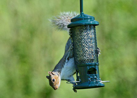 Vine House Farm On Twitter Not Every One Is A Fan Of Grey