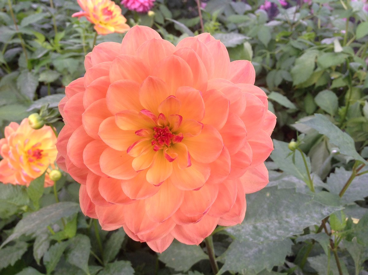 Jack Gott tweet media