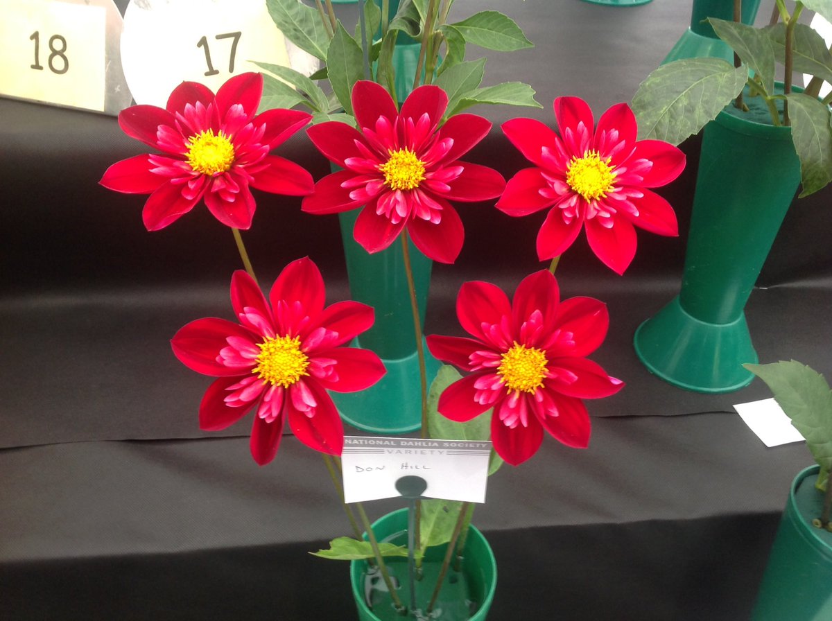 Jack Gott tweet media