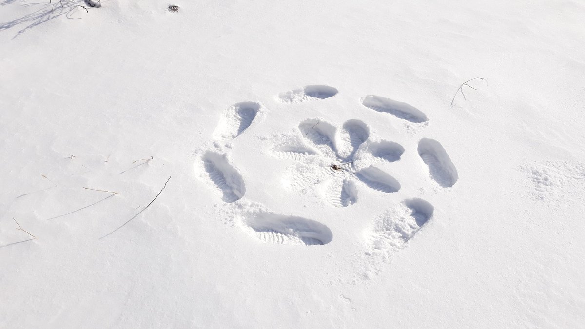 newjjun's tweet image. 첫눈~~~^
옛 생각에 잠시^~