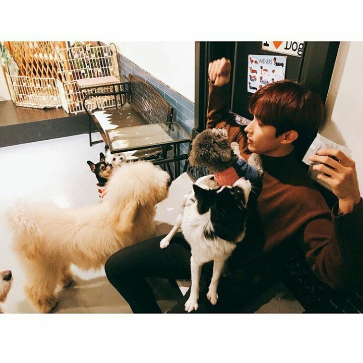#FotoProfilBaru