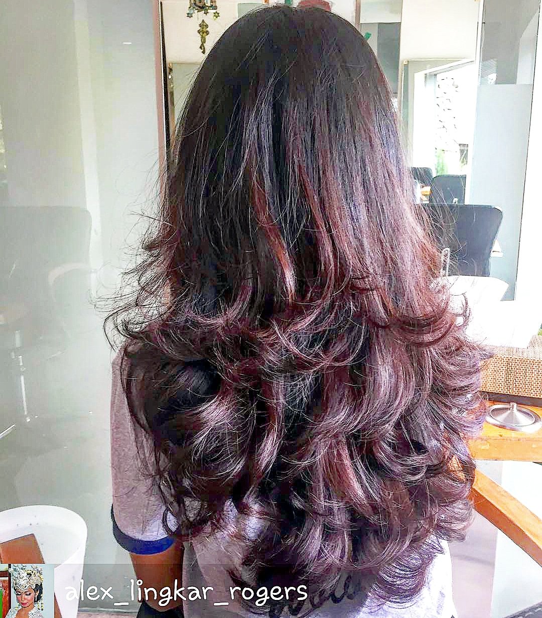 Layered Long Hair Back View