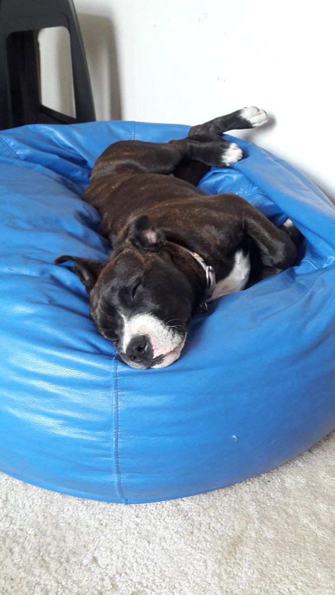 Rodrocerna's tweet image. Mi hija