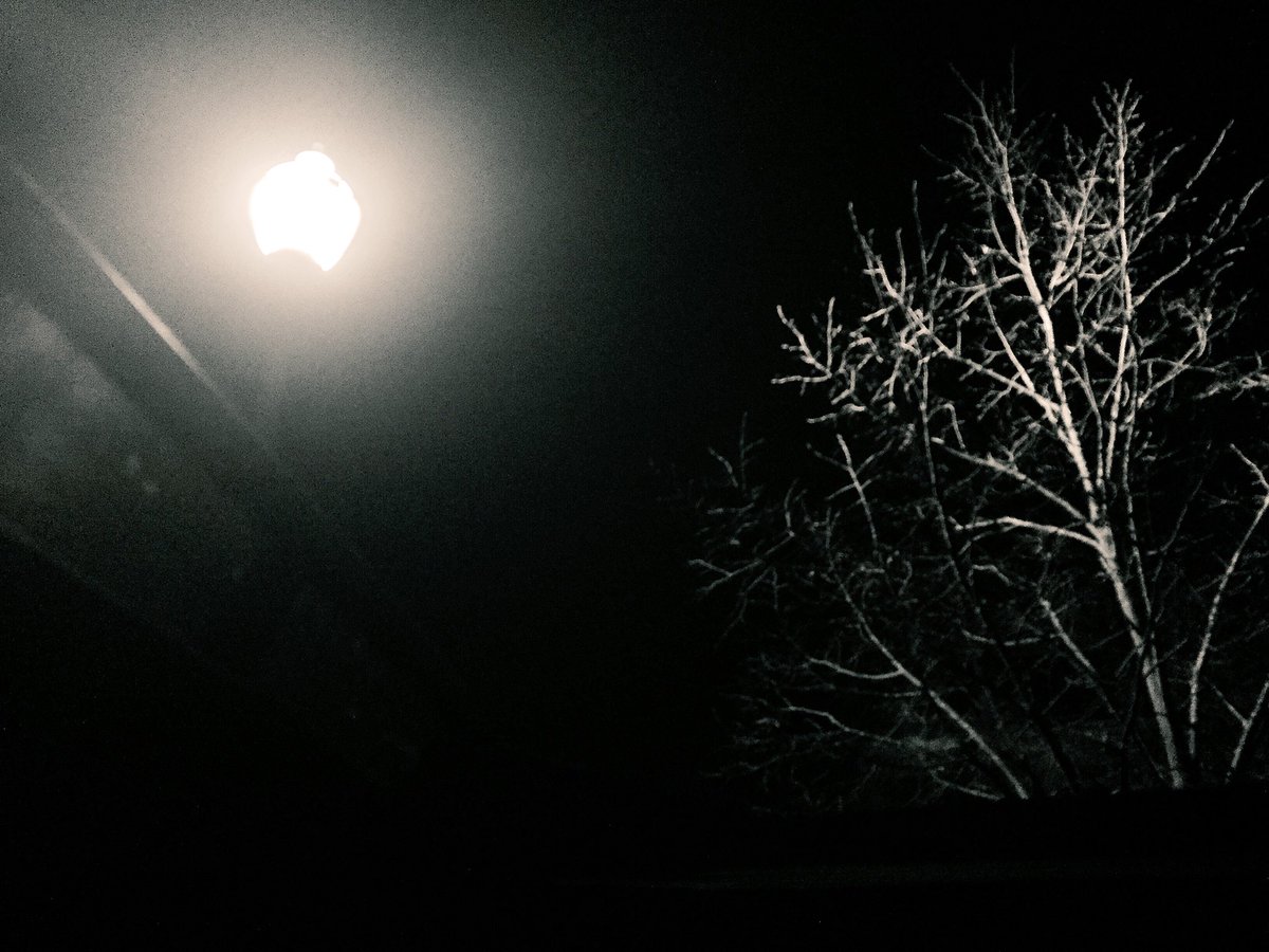 Ben__Hutchison's tweet photo. Had to go with the sunroof open for the ride home tonight! 50+ degrees got me like π₯π₯π₯ #WinterWhat https://t.co/aARz5uUVmv
