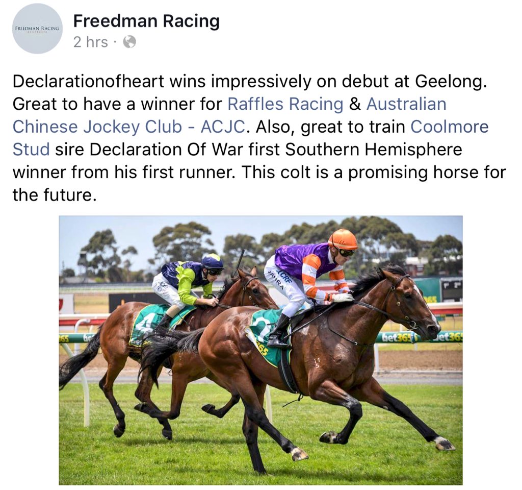 RafflesRacing's tweet photo. A lot of 1st achieved by #DECLARATIONOFHEART today - 1st on his debut for our 1st horse with @FreedmanRacing in our 1st partnership with @MuskCreekFarm &amp; @A_C_J_C - he's also his sire's 1st winner from his 1st runner in Southern Hemisphere! 1️⃣ https://t.co/AFyjMJcUl9