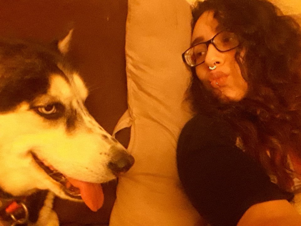 gildedopal's tweet photo. my sweet love pup💕 https://t.co/UiPAjRXgxb