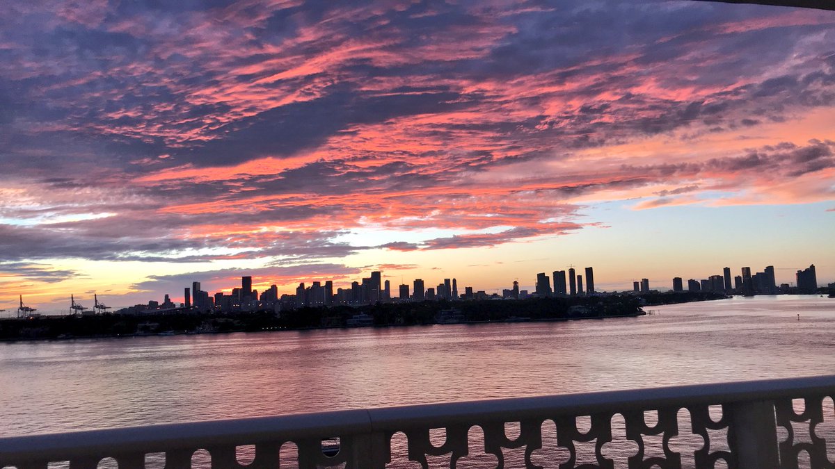 Anita1dancer's tweet photo. Thankful for you Miami 🌴 https://t.co/mJoqHZURSo
