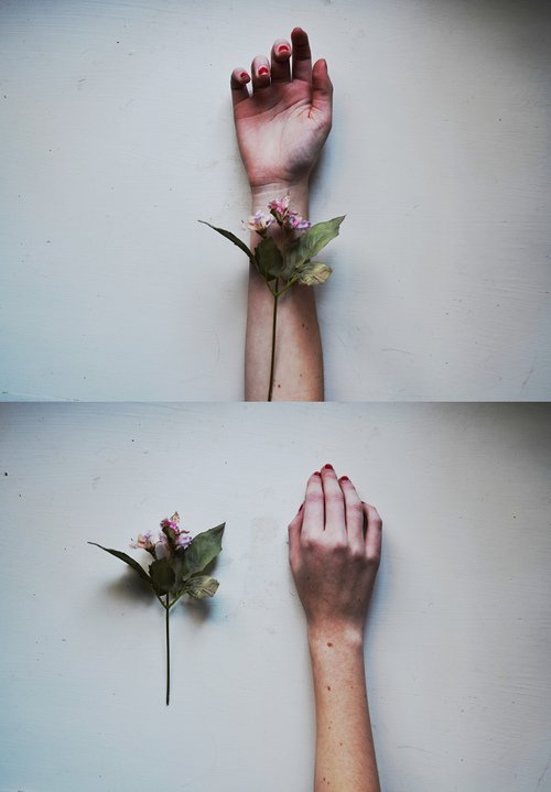 “insanlar sana kapıyı gösteriyor, sen gidip hâlâ pencerelerine çiçekler koyuyorsun.”