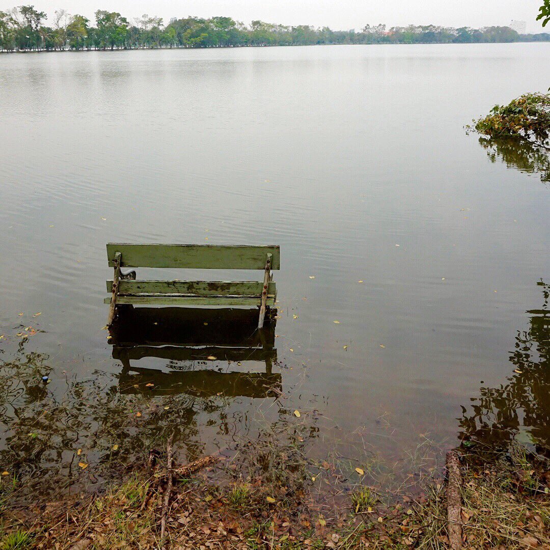 dalepeter's tweet photo. Water level at the Nong Bong Reservoir a bit higher than normal today. #nongbon #prawet #bangkok #thailand https://t.co/YKZTaNxshI