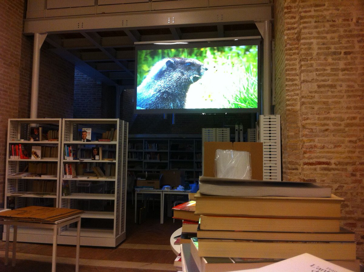 Il processo di digitalizzazione è in corso. Questo è un esempio di proiezione olografica in biblioteca. Totapp, stay touch!