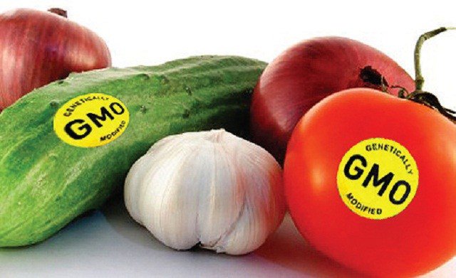 IndependentUG's tweet photo. Uganda’s GMO bill to be retabled https://t.co/CXzFFgwYig https://t.co/GSGSAztH0I