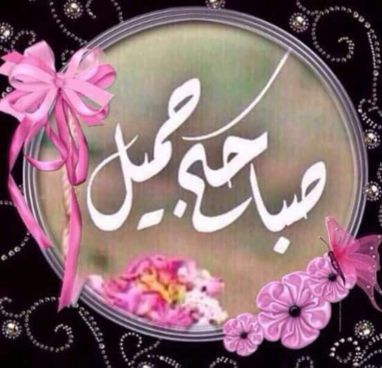 rewq219862's tweet photo. @83ff1ea5e5e7440  https://t.co/Q46e6iQ49K