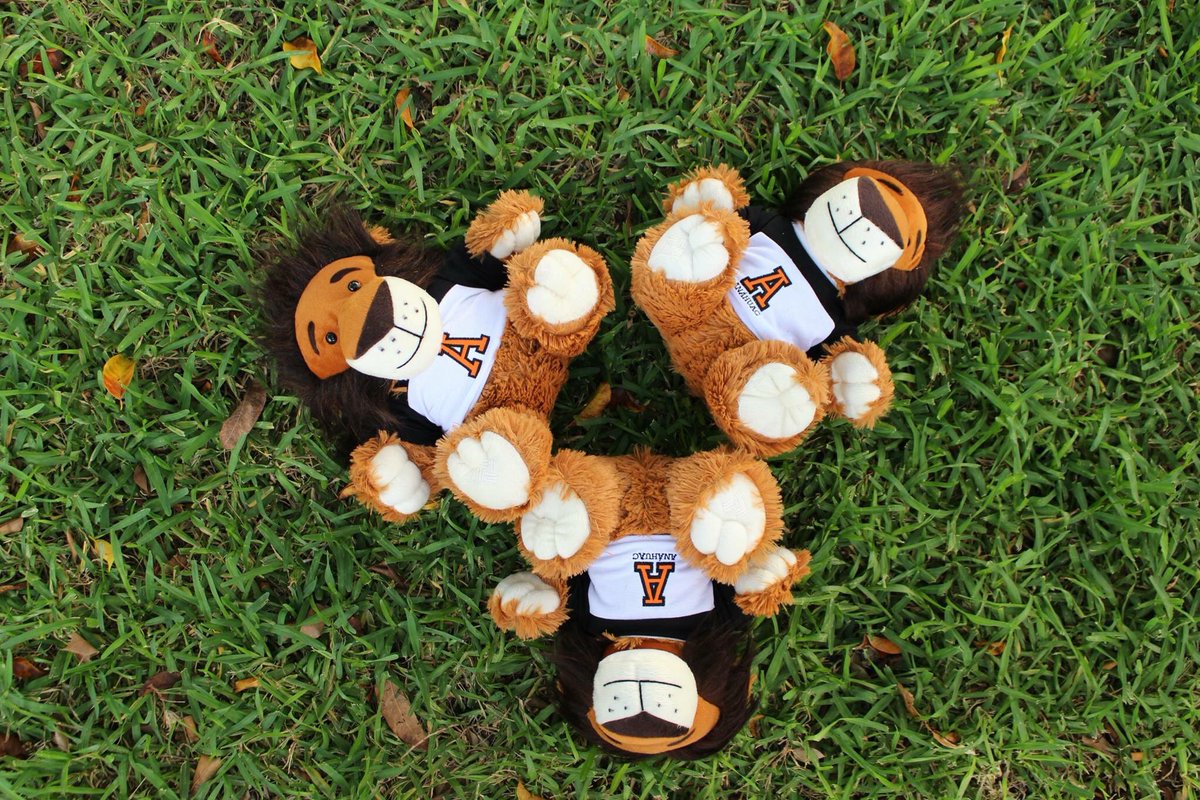 AnahuacCancun's tweet image. ¡Feliz inicio de clase!

#studyinparadise #somosanahuac #proudtobe #liderazgoanáhuac #internationaluniversity #anahuaccancun #FelizMiercolesِ

🔸Grandes líderes y mejores personas