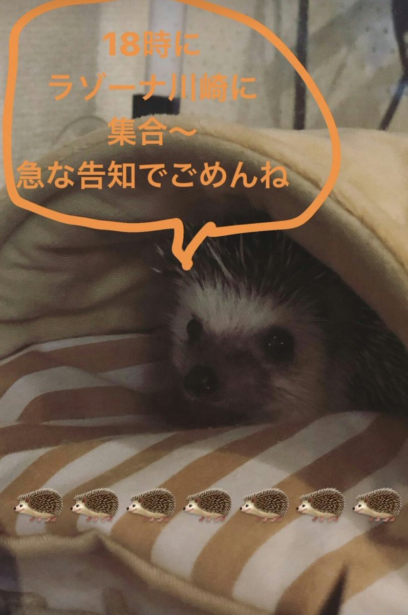 00_926's tweet photo. ついカッとなっていらいらしてしまったらコメント送る前にこれをみて落ち着いて欲しい…ゆうぴがちゃんと急な告知でごめんねっていってるよ… https://t.co/oB87jmi3GD
