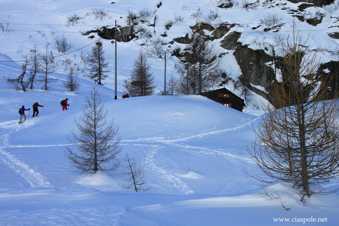 ciaspolenet's tweet photo. arrivo al rifugio #Miryam, in val #Vannino
https://t.co/VmNSuqCNuo

@ossolanews @UncemPiemonte @piemonteparchi @RifugiPiemonte @RifugioMargarol https://t.co/7V6sBMiMsD