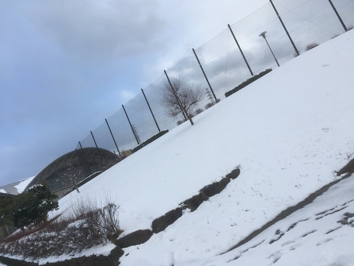 SuRyotaro's tweet photo. 雪だ雪だ〜！て興奮せんくなった…
2年前大雪で寮の水道が全部止まって、避難生活みたいになったの懐かしい。
今回はトイレ雪水で流さんでええけん、そないひどくないんやろな！ https://t.co/koDm5VAfk3