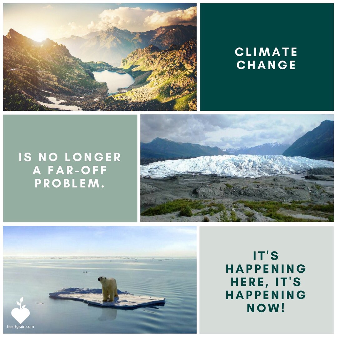 heartgrain's tweet photo. I should admit that I donโt understand why everyone didnโt act for our planet ๐ ๐ค ๐Climate change can have a range of impacts on physical, mental, and community health! ๐๐ช #health #climatechange #earthprotect #earthproblems #ecofriendly #earth #makeourplanetgreatagain https://t.co/9JO3S0TiGo