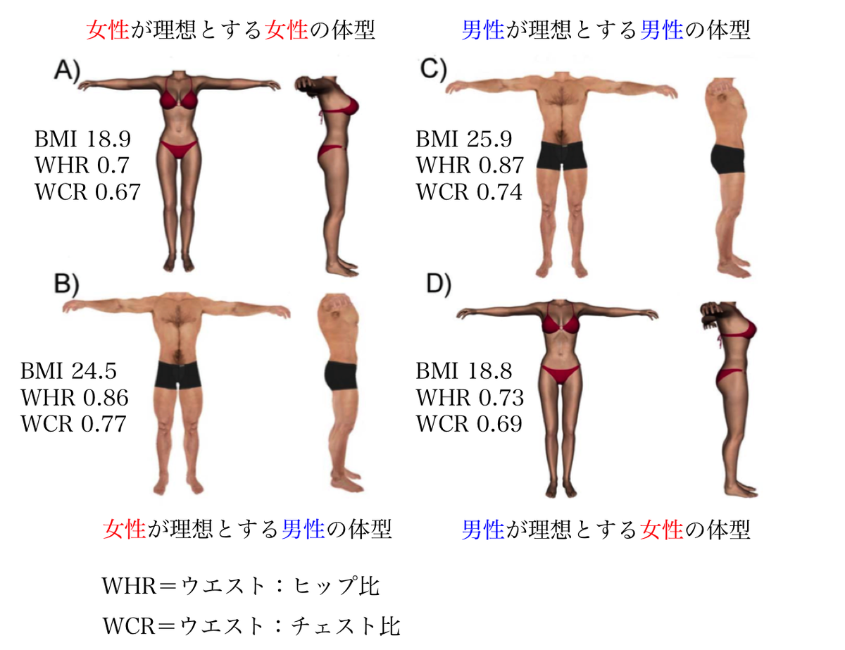 くぼたかふみ Twitterissa 理想的な体型はどんな体型ですか という問いに対して理想の体型 を40名ずつの男女に3dモデルを作成させた研究 女性はウエストが細い女性を好むのに対して男性は女性に比べてそこまで細いウエストの女性を理想としていない