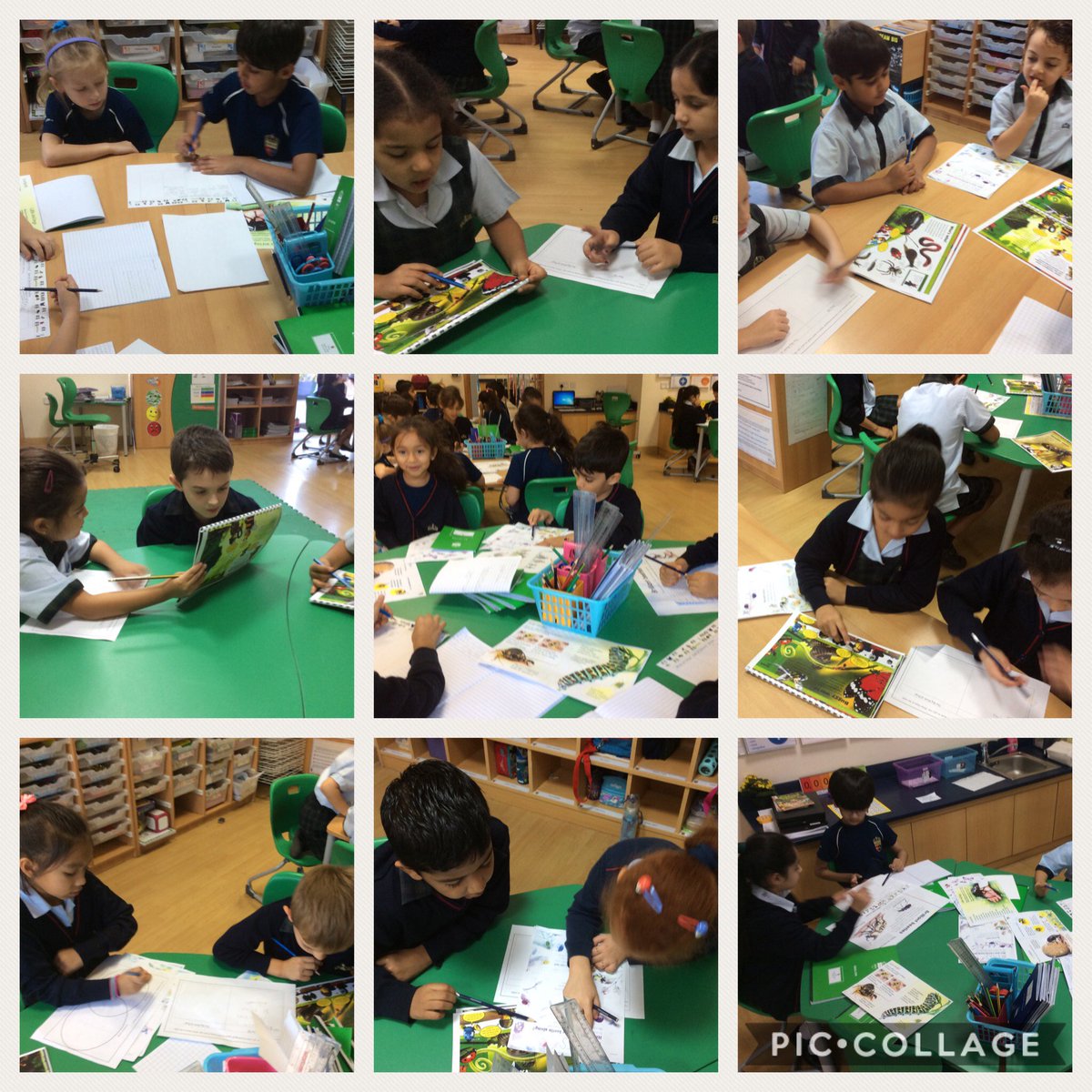KSAB_Y2's tweet photo. Year 2 received another letter from David today! He told us his favorite books are Bug Off and The Big Book of Bugs. Amber Class compared the books by looking at their similarities and differences to identify which we preferred. #deardavidy2 https://t.co/hMdVOqBXby