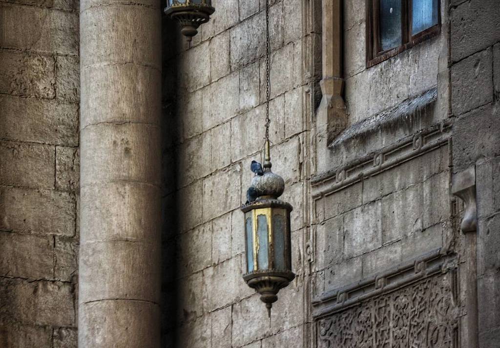 PhotoRKS's tweet photo. Pigeon always build nests in the most weird places we should learn something from them 🐦
#architecture #rks_photo #Egypt 
#photography  #cairo 
#canoon #edits  #winter #ancient #SultanHassanCastle #mosque #SultanHassan  #school #oldcairo #patterns #i… https://t.co/v7bB9ZP8Dj https://t.co/wnKXmNMRRM