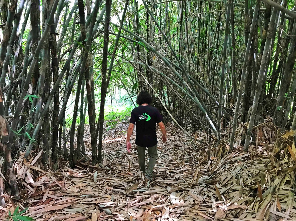 TrailScapes's tweet photo. Planning MTB trails in Indonesia, near Jakarta looks like this! Steep, lush, warm... We can’t wait to ride here! #asiangames2018 #trailbuilding #trailscapes https://t.co/j56JGG8qxH