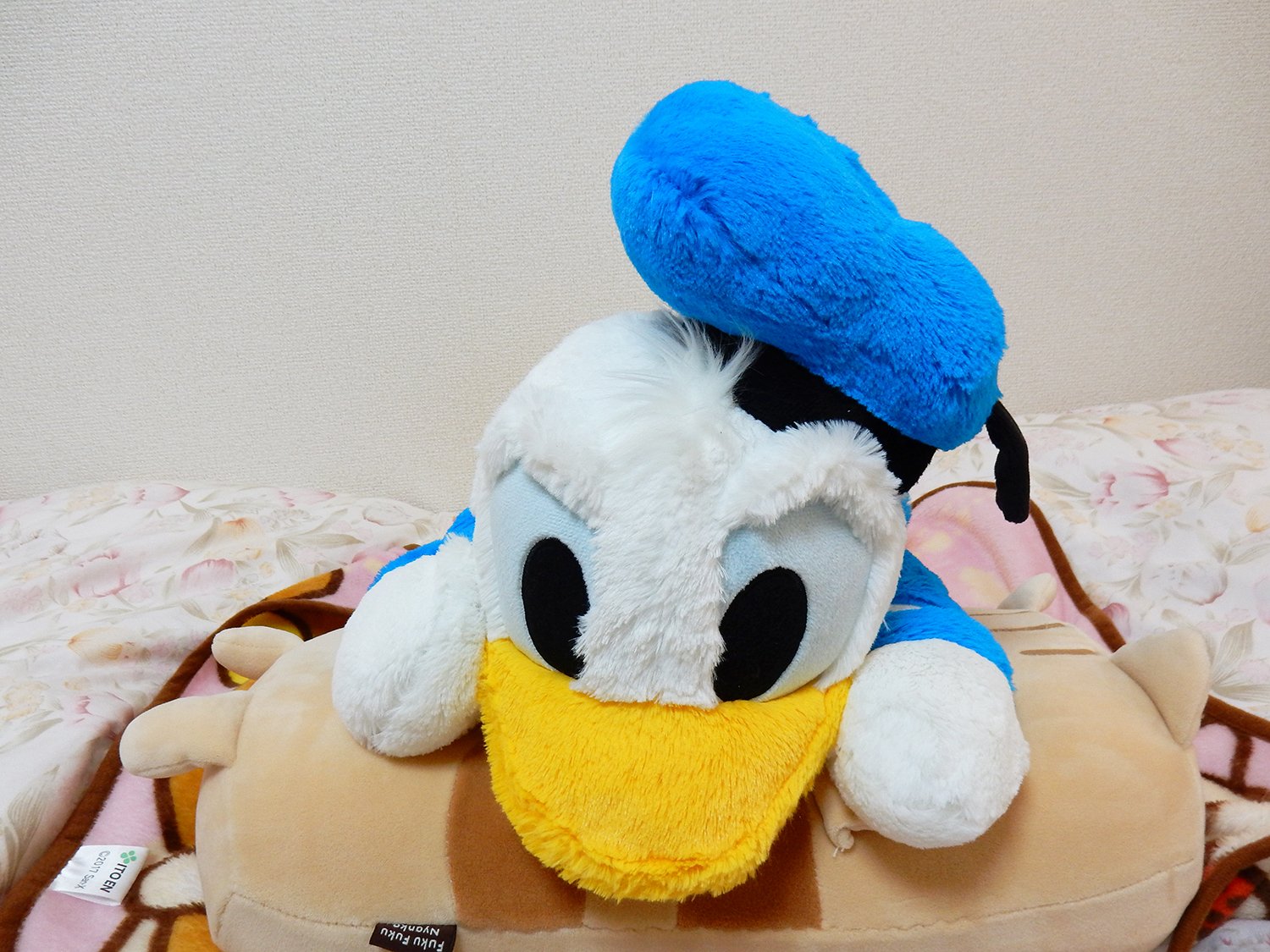 ぬいぐるみ Jam ドナルド ダック Tdlに行った時に買いました さすが本家のぬいぐるみだけあって 作りがしっかりしていて 可愛くて気に入っています 足やくちばしの形から お尻の丸さと しっぽのふさふさがキュート あまえんぼジジさん同様