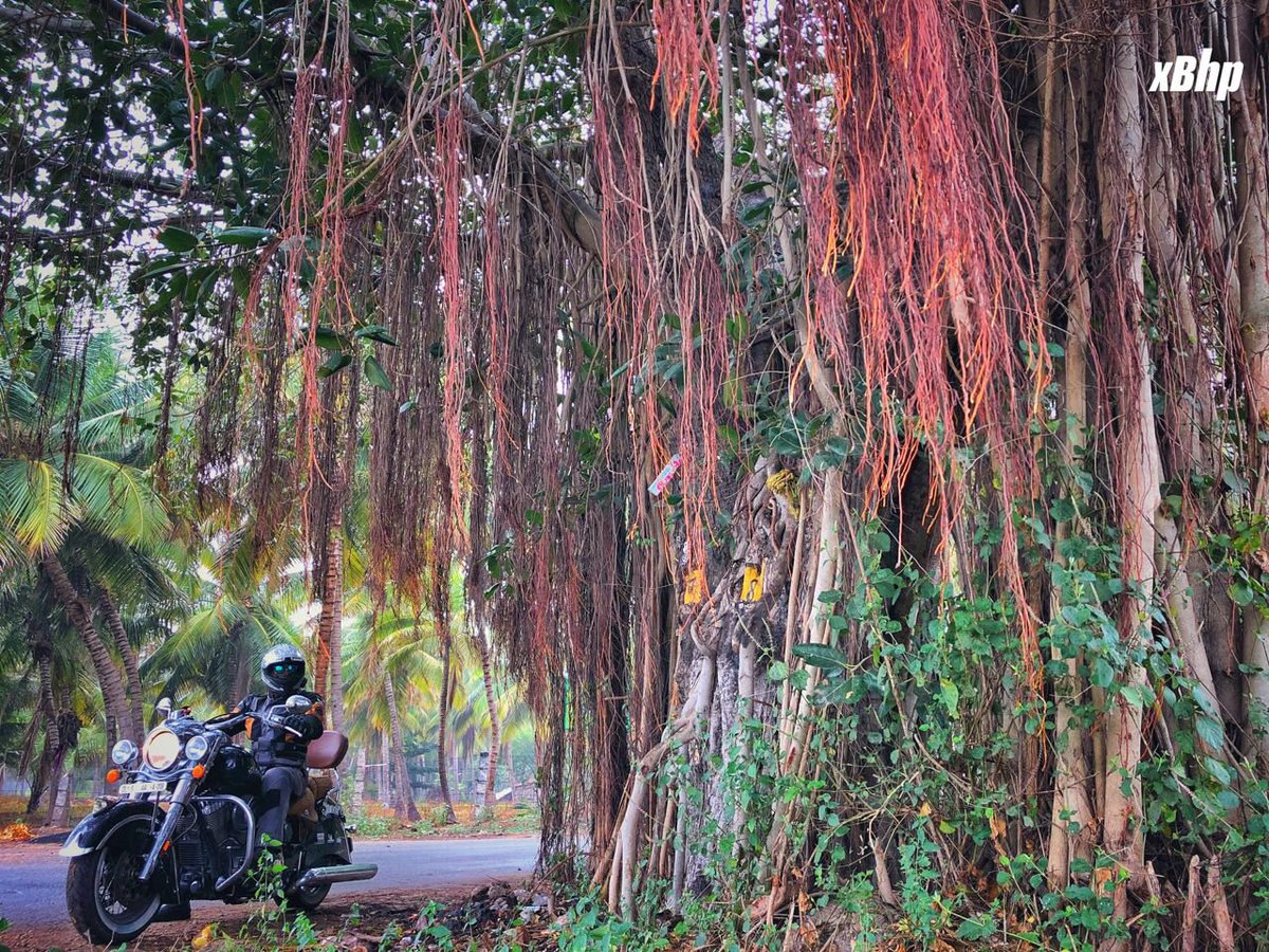 IndianMotorIND's tweet photo. Amidst the bliss of nature and #ThunderStroke111 of the #IndianChiefVintage.
"Beautiful country roads run route Kanyakumari on the #roadTripUnited with the @indianmotorcycleindia"
Thanks @themotographer and @xbhp #ChiefVintage#IndianChiefVintage#IndianMotorcycle #powertrip #biker https://t.co/UsFifNdTTA
