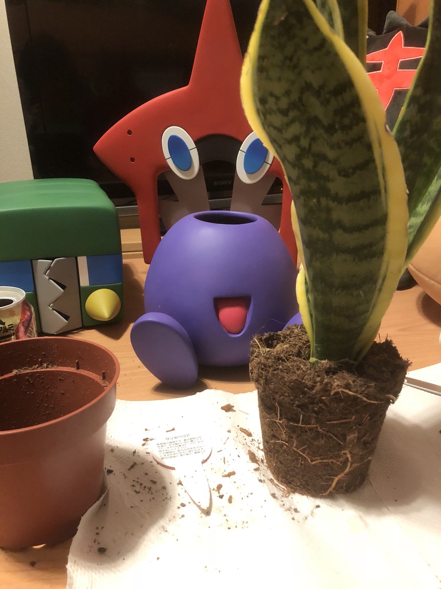 ねんどよしりん Youtubeで造形動画公開中 Su Twitter ナゾノクサのプランターです 1番難しかったのは いい感じのサイズのサンセベリアを買うことでした 笑 今後は キレイハナ などのプランターポケモンを沢山作って 部屋にミニ植物園をつくり
