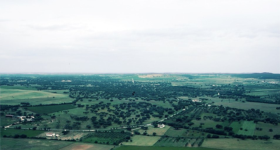 diana_therose's tweet photo. Alentejo

@ Monsaraz

#Monsaraz #CastelodeMonsaraz #Monsarazcastle #Évora #Alentejo #Portugal #Europe #landscape #countryside #horizon #greenfields #travelphotography #trip #travel #travelgirl #travelgram #beautifuldestinations #beautifulplaces https://t.co/UzfEldyuxY