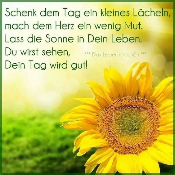ingebor7's tweet photo. Jeder Tag ist ein Geschenk. 
Neben den Pflichten sollten wir uns einen kleinen Freiraum lassen, den wir kreativ gestalten oder uns anderen Menschen liebevoll zuwenden. https://t.co/q9s1pDHmHC