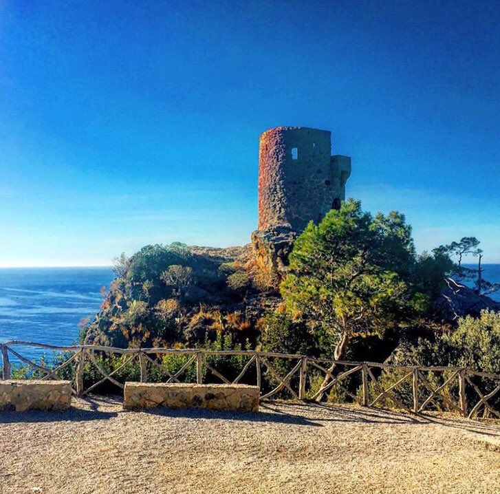 MallorcaKompass's tweet photo. Mallorca in winter is worth a visit ☀️ 🌴 Tag your best picture with #mallorcakompass and follow us to be featured!🌸🍃
•
#mallorca #mallorca2018 #mallorcagram #mallorcastyle #majorca #spain #spanien #visitspain #meineinsel
•
📷 by @life.is.better.when.you.smile https://t.co/2nmGbgj5gq