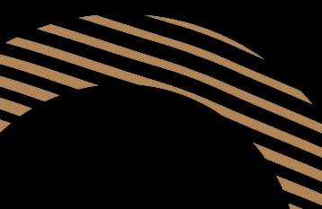 BF Systèmes tweet media