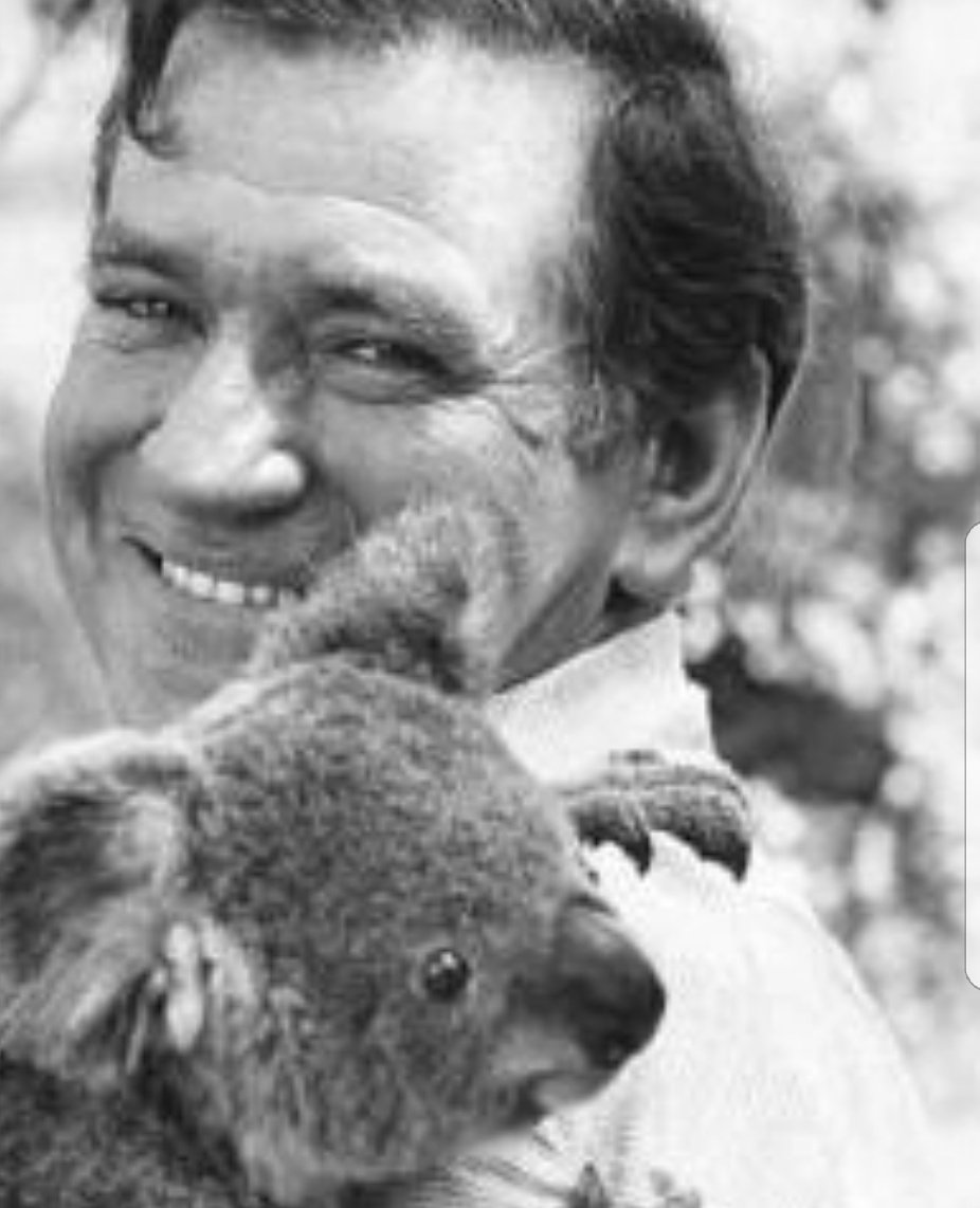 Happy birthday Rod Taylor, you saucy koala snuggler. 