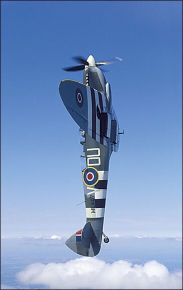 Carolyn Grace tweet media