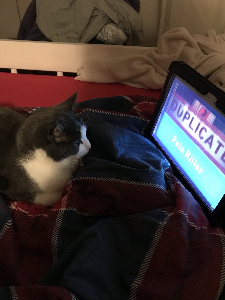 JoshEgglestone's tweet photo. Is @MatPatGT cat friendly ??  #yes #scroogedwasright https://t.co/5aFCJUuJJk