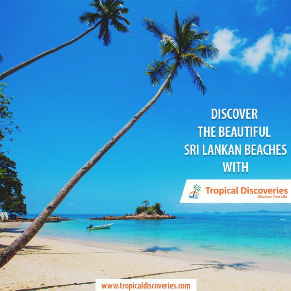 TropicalDisc tweet picture